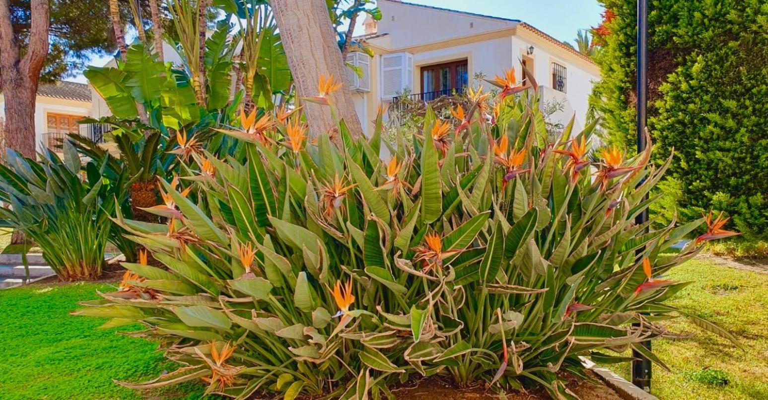 Casa Veranera Vera Costa Playas de Vera